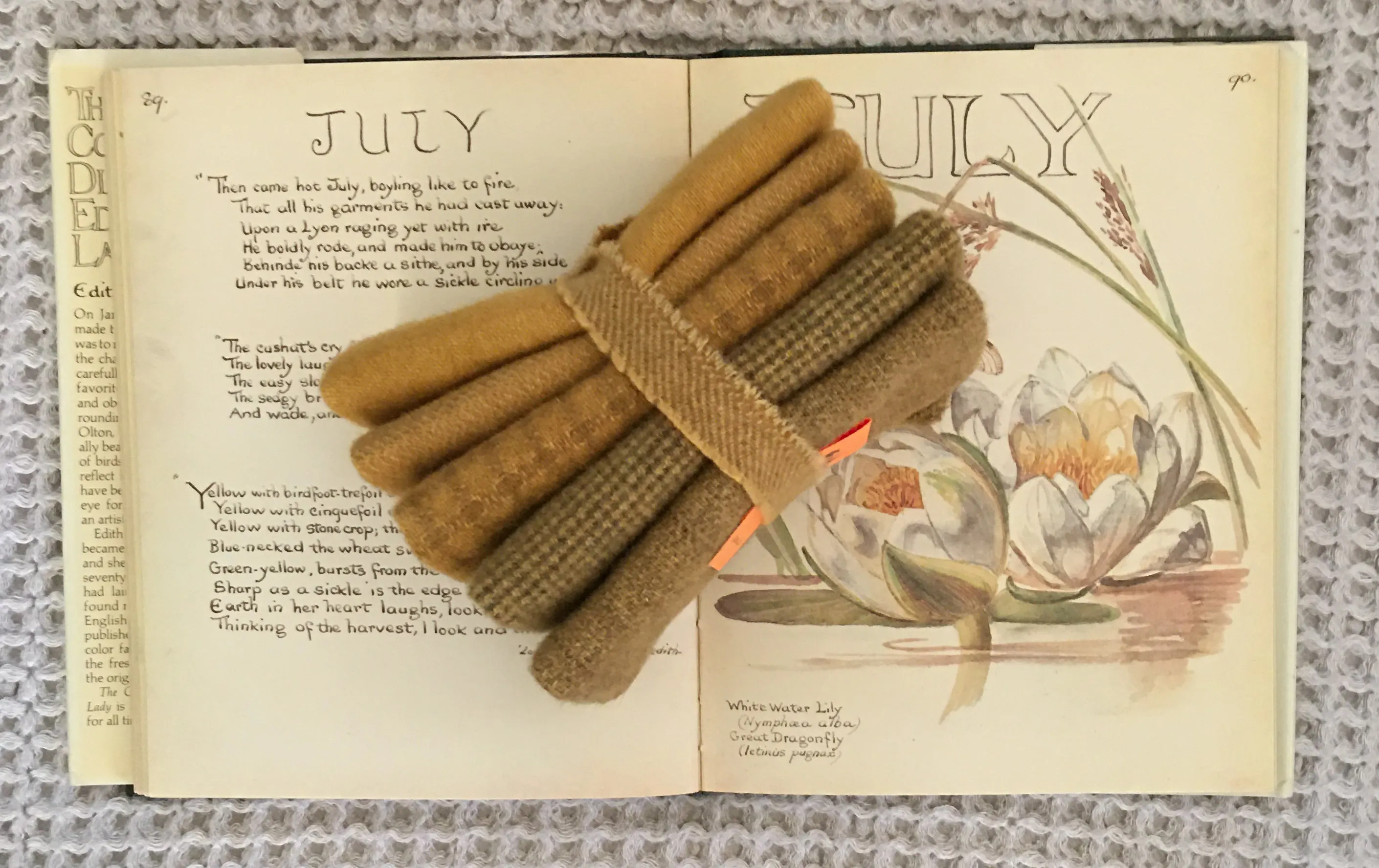 AUTUMN GOLD Hand Dyed Wool  Bundle for Rug Hooking and Wool Applique