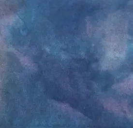 DRAGONFLY Hand Dyed YARD Wool Fabric for Wool Applique and Rug Hooking