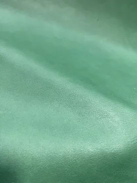 Sierra Turquoise Leather
