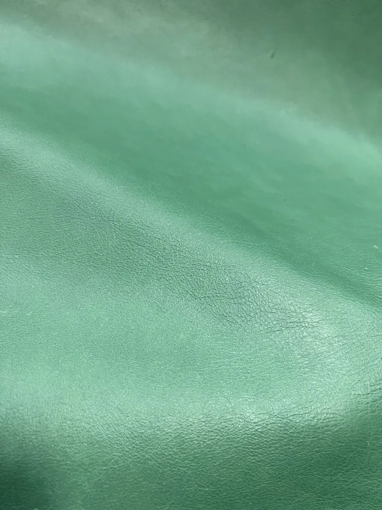 Sierra Turquoise Leather